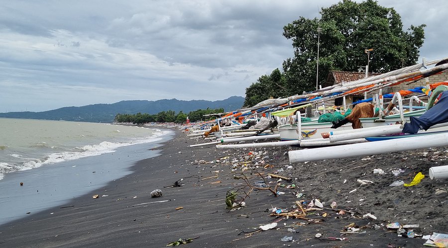 Volunteers collecting plastic and planting mangroves along Ampenan Beach.