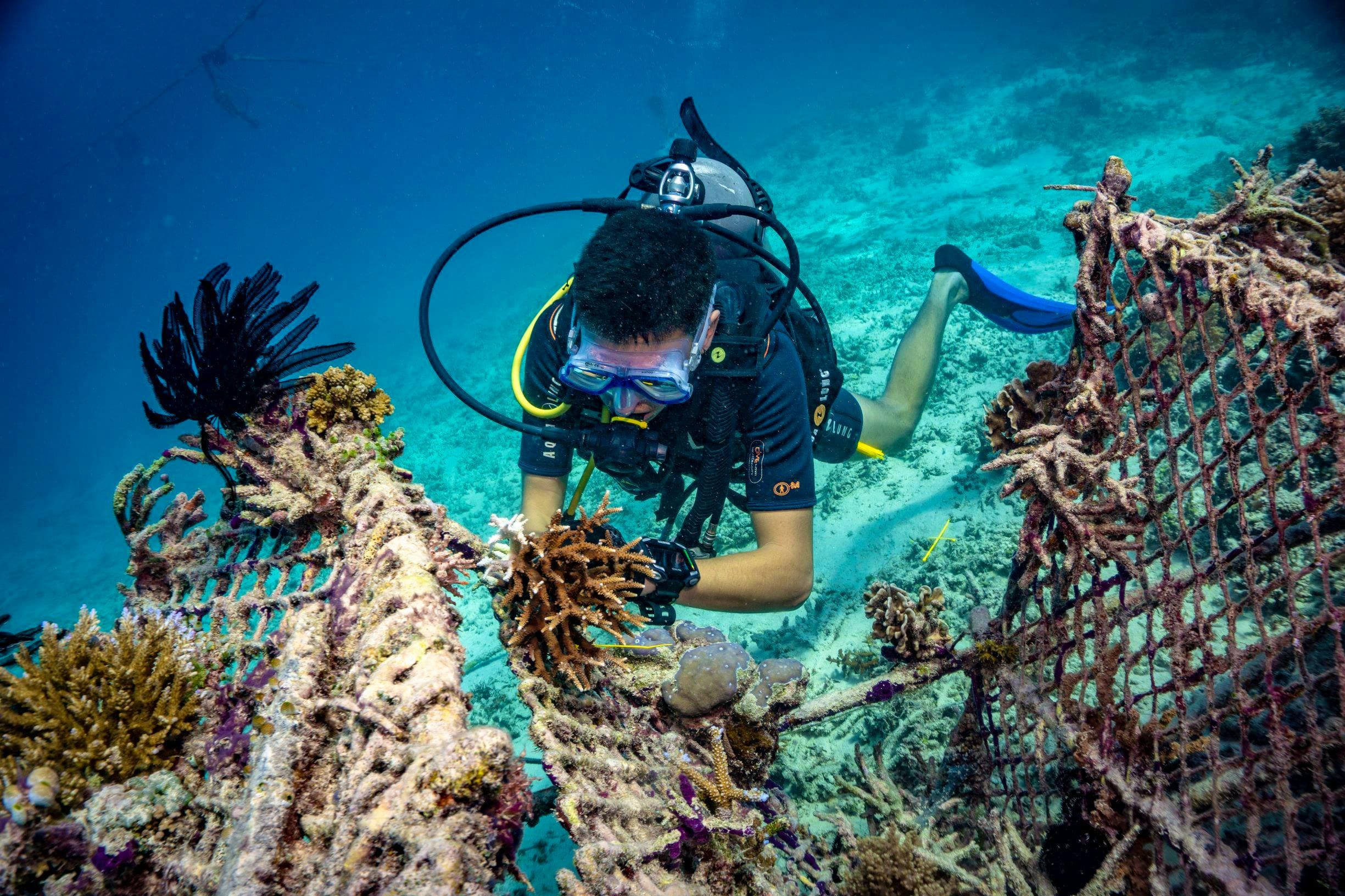Divers planting coral fragments beneath Gili Trawangan’s clear blue sea.