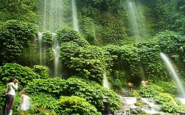 Volunteers replanting native trees around Benang Stokel’s lush forest.